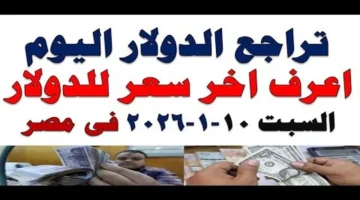 سعر الصرف المستقر.. تحركات الدولار أمام الجنيه المصري في تعاملات السبت بمنتصف يناير